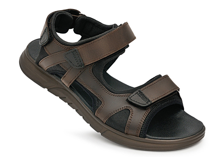 Receptor Brown фото
