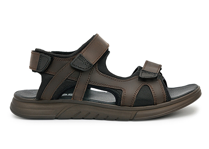 Receptor Brown фото