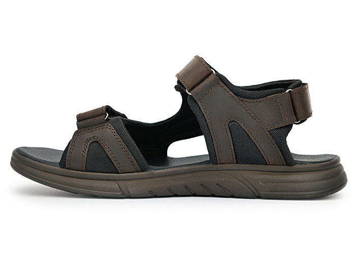 Receptor Brown фото
