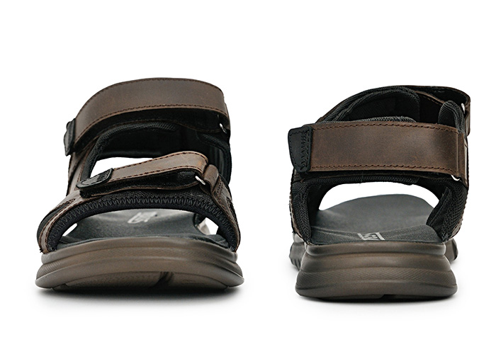 Receptor Brown фото