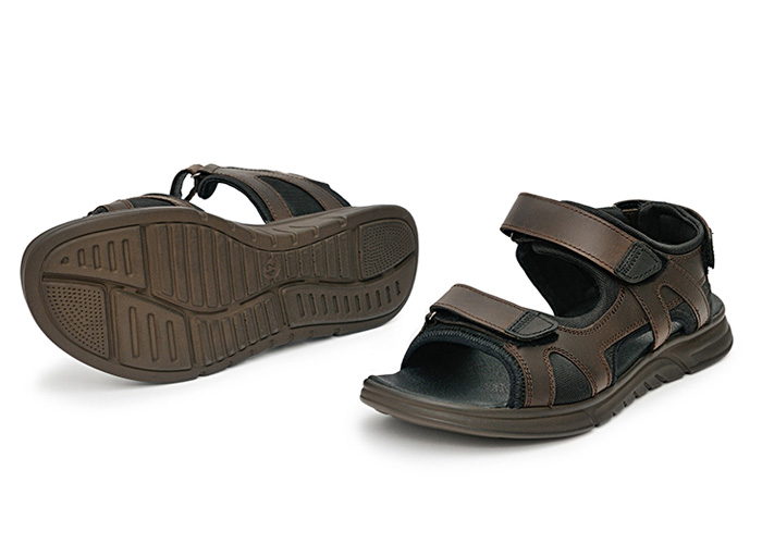 Receptor Brown фото